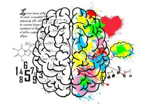 Choyez votre cerveau