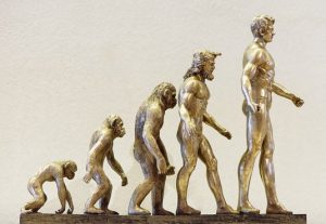 Tous humains